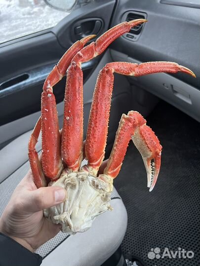 Краб стригун половинки 