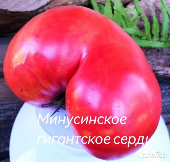 Продам семена редких коллекционных томатов и перца