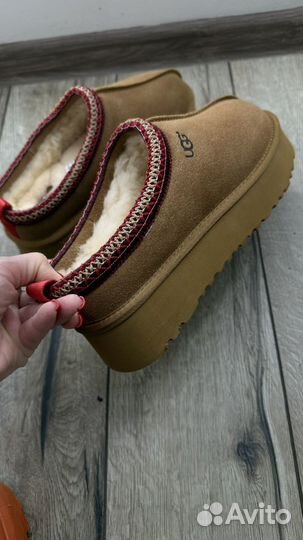 Ugg tazz 40,41
