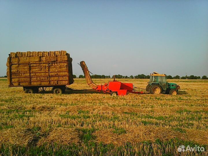 Солома пшеничная и ячменная