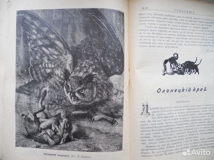 Антикварные журналы «Товарищъ» 1903г. и другие