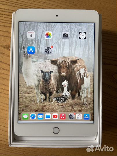 Apple iPad mini 4 64 Gb Wi-Fi + Cellular