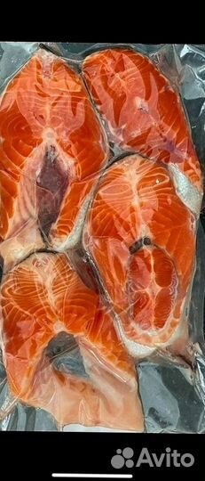 Свежая форель из Карелии оптом от 20 кг