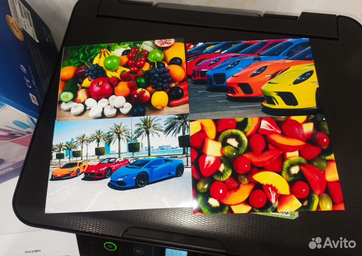 Мфу Epson L222 с снпч