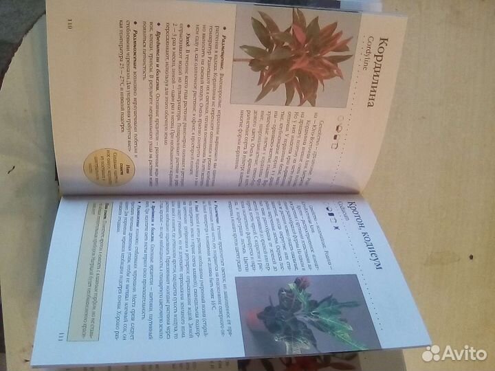Книги: Комнатные растения и кулинария