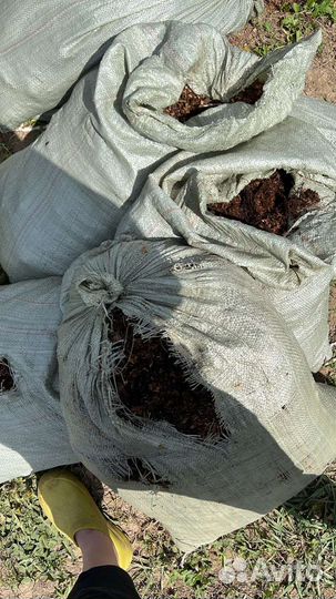 Навоз конский в мешках перегной