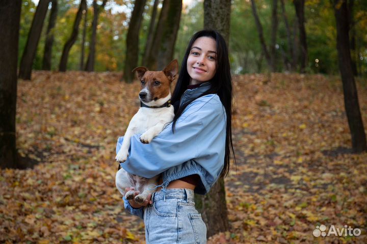 Репетитор по математике