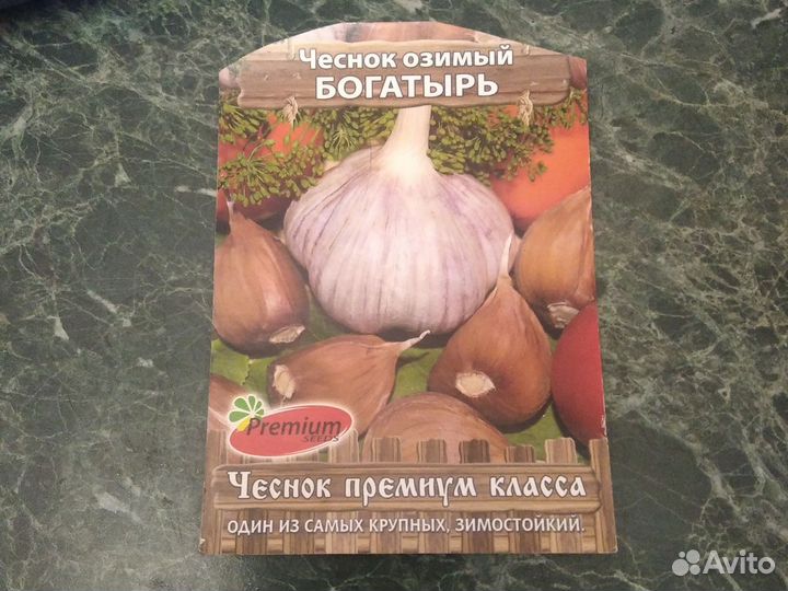 Озимый чеснок на посадку