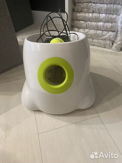 Катапульта мячей для собак