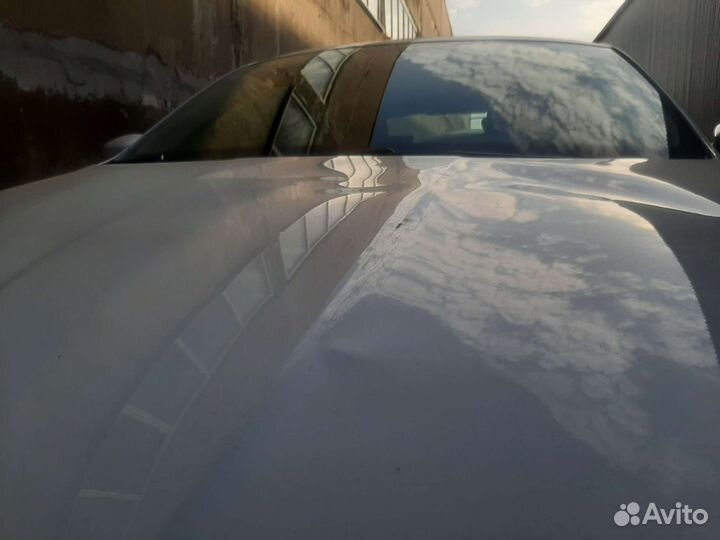 Капот на skoda rapid II (2020г.в.) б/у