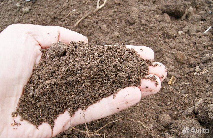 Торф с доставкой