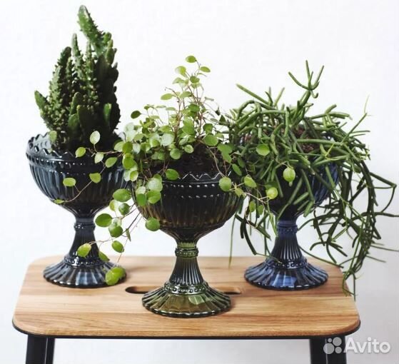 Вазочки Mariskooli by Iittala Финляндия