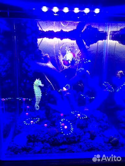 Аквариум 30 л(кубик)