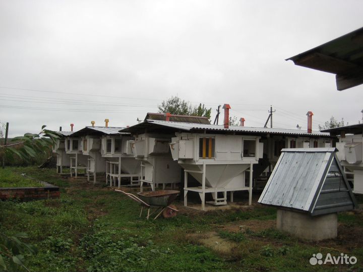 Продам клетки для кроликов