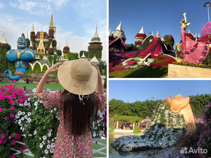 Экскурсии: Дубай, Абу-Даби, Сафари