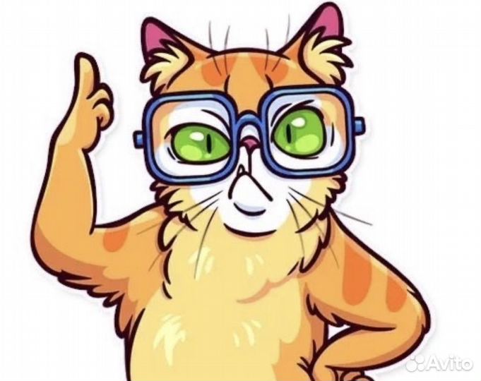 Почтальон от 14 лет