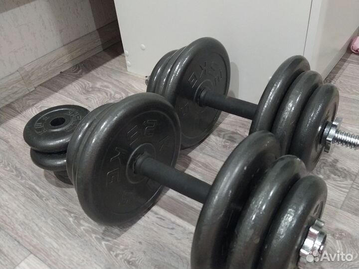 Гантели разборные