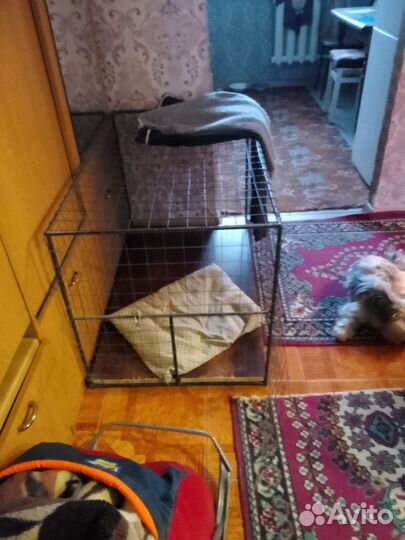 Клетка для животных бу