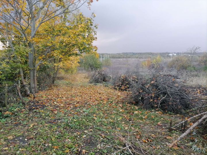 Участок 30 сот. (ИЖС)
