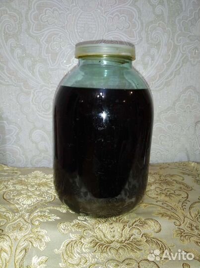 Восковая моль