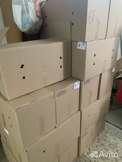 Инкубационное яйцо бройлера росс 308