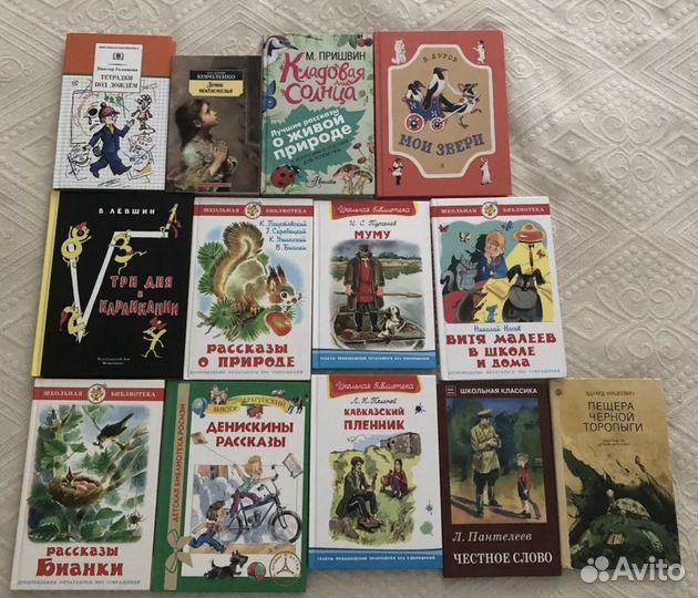 Книги для детей и подростков (внеклассное чтение)