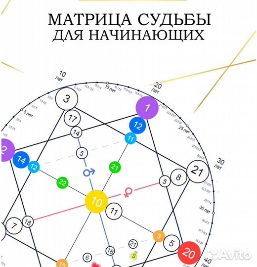 Книга Матрица судьбы для начинающих