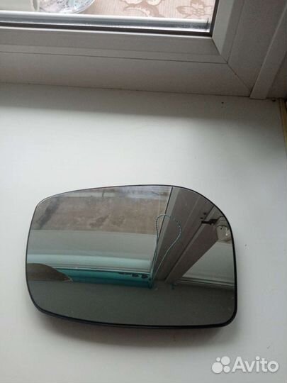 Личинка зеркала