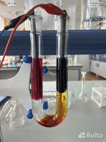 Репетитор по математике/физике