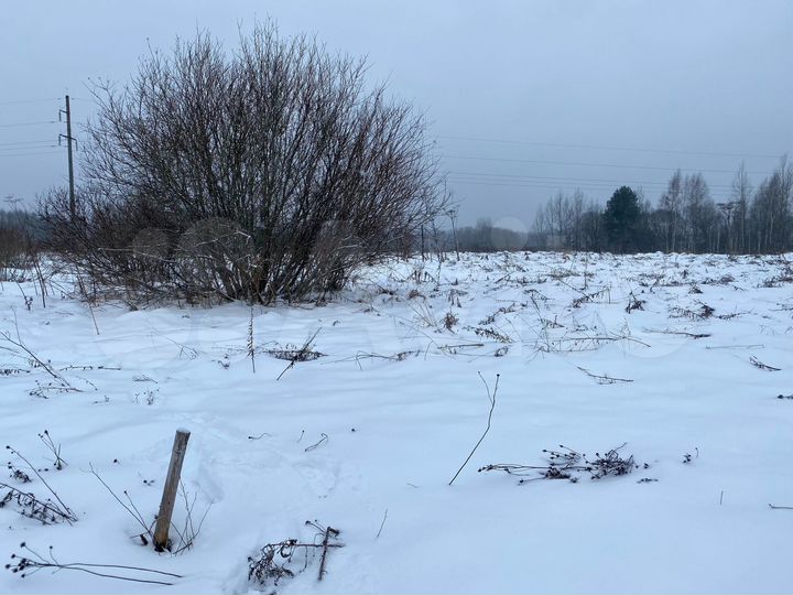 Участок 50 сот. (ИЖС)