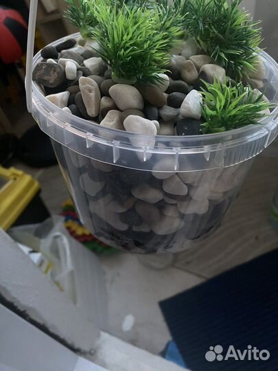 Камни для аквариума