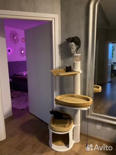 Когтеточка дом для кошки