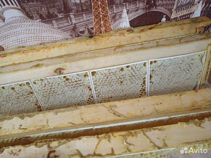 Продам мед 2023