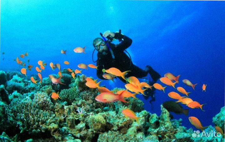 В Египет от 4* на 7 ночей все вкл-но