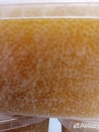 Икра щуки 2023г