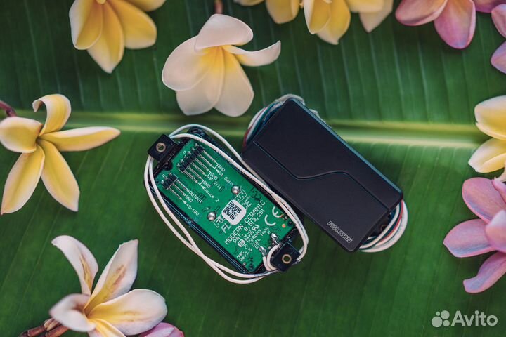 Fishman Fluence Modern 6 Set Black