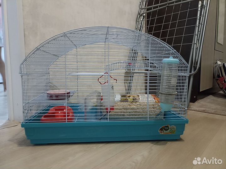 Клетка для грызунов бу