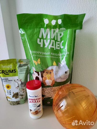 Сирийский хомяк с клеткой