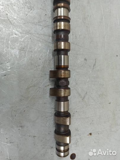 Распредвал выпускной Mercedes W140 S