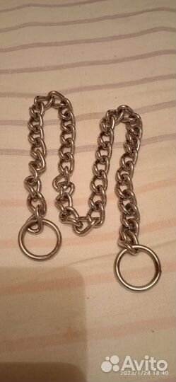 Строгий ошейник для собак