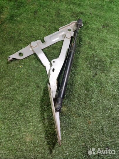 Петля крышки багажника задняя левая Audi A6 C6