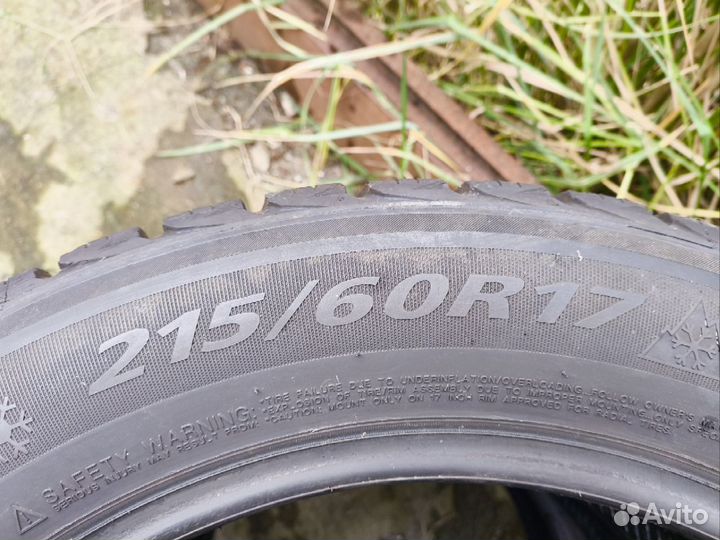 Landsail Winter Star 215/60 R17 96H