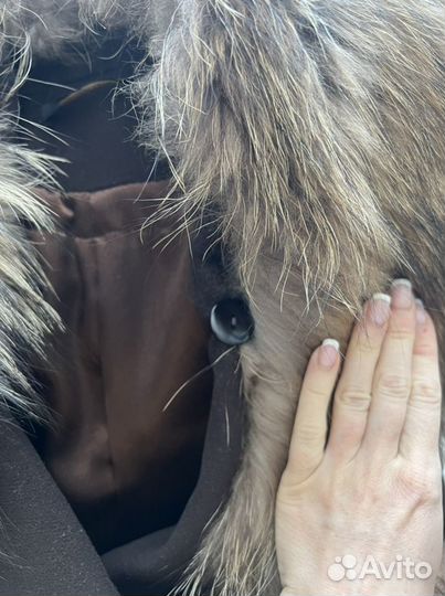 Пальто зимнее 42