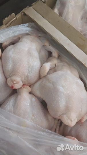 Тушка цыпленка бройлера (охлажденная)