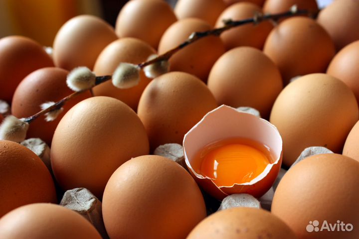 Домашние куриные яйца