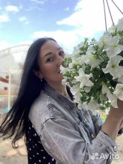 Рассада цветов и овощей