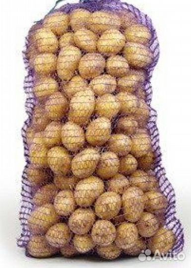 Картофель