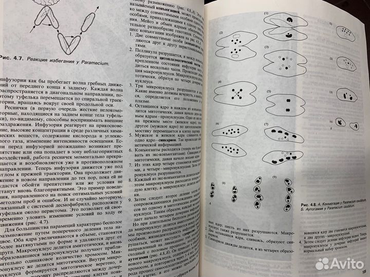 Н.Грин У.Стаут Д.Тейлор Биология 1996