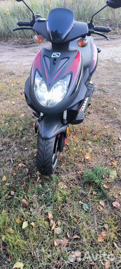 Stels Tactic 70см3