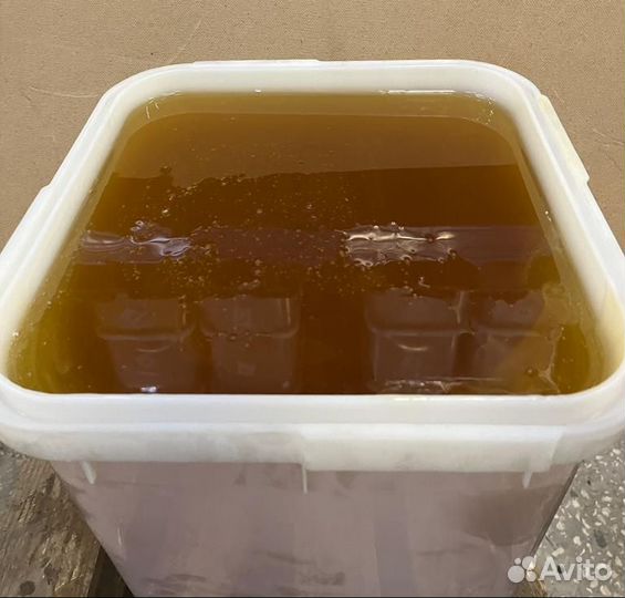 Мед свежий с алтая оптом